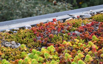 the cost of Haughurst Hill green roof installation