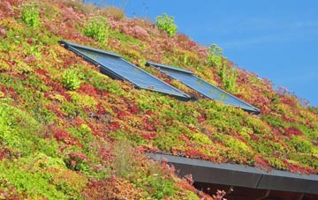 Haughurst Hill living roof systems