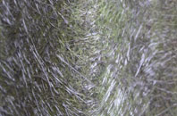 Haughurst Hill fibreglass roof work